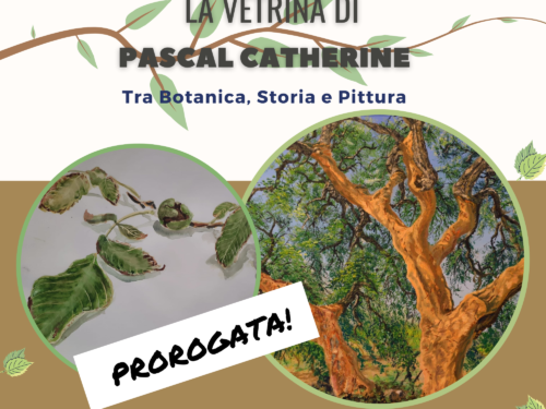 Prorogata! “La vetrina di Pascal Catherine” in mostra a Palermo